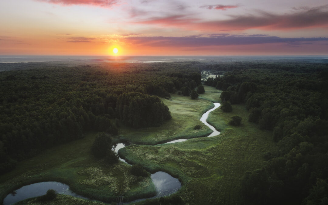 visitpärnu-destination-pärnu-pärnumaa